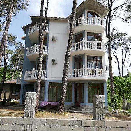 Hotel Shekvetili 셰크베틸리 외부 사진