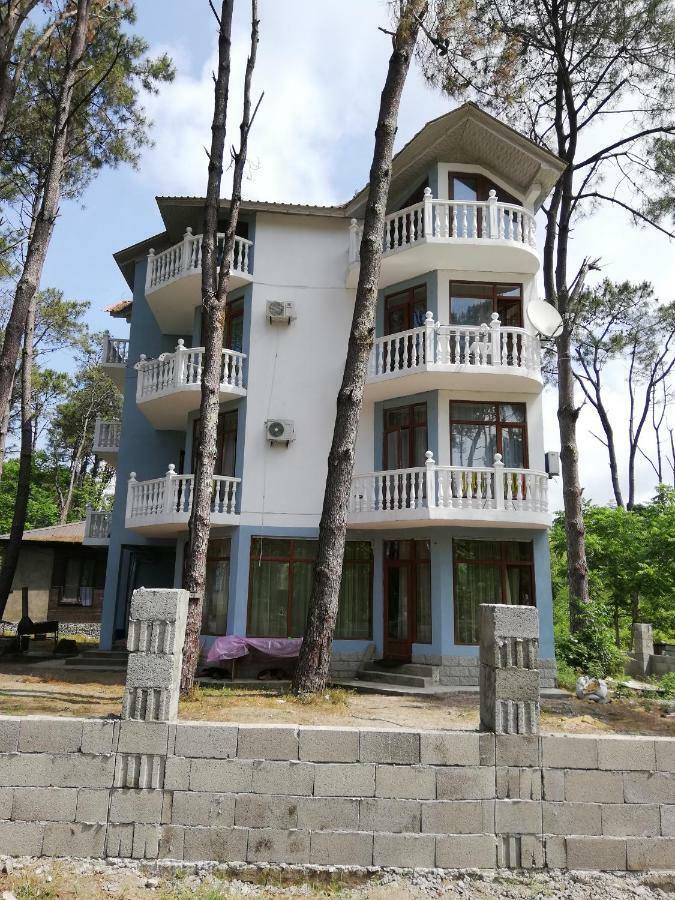 Hotel Shekvetili 셰크베틸리 외부 사진