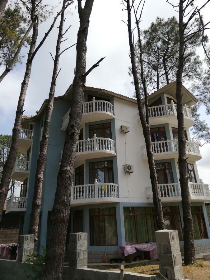 Hotel Shekvetili 셰크베틸리 외부 사진